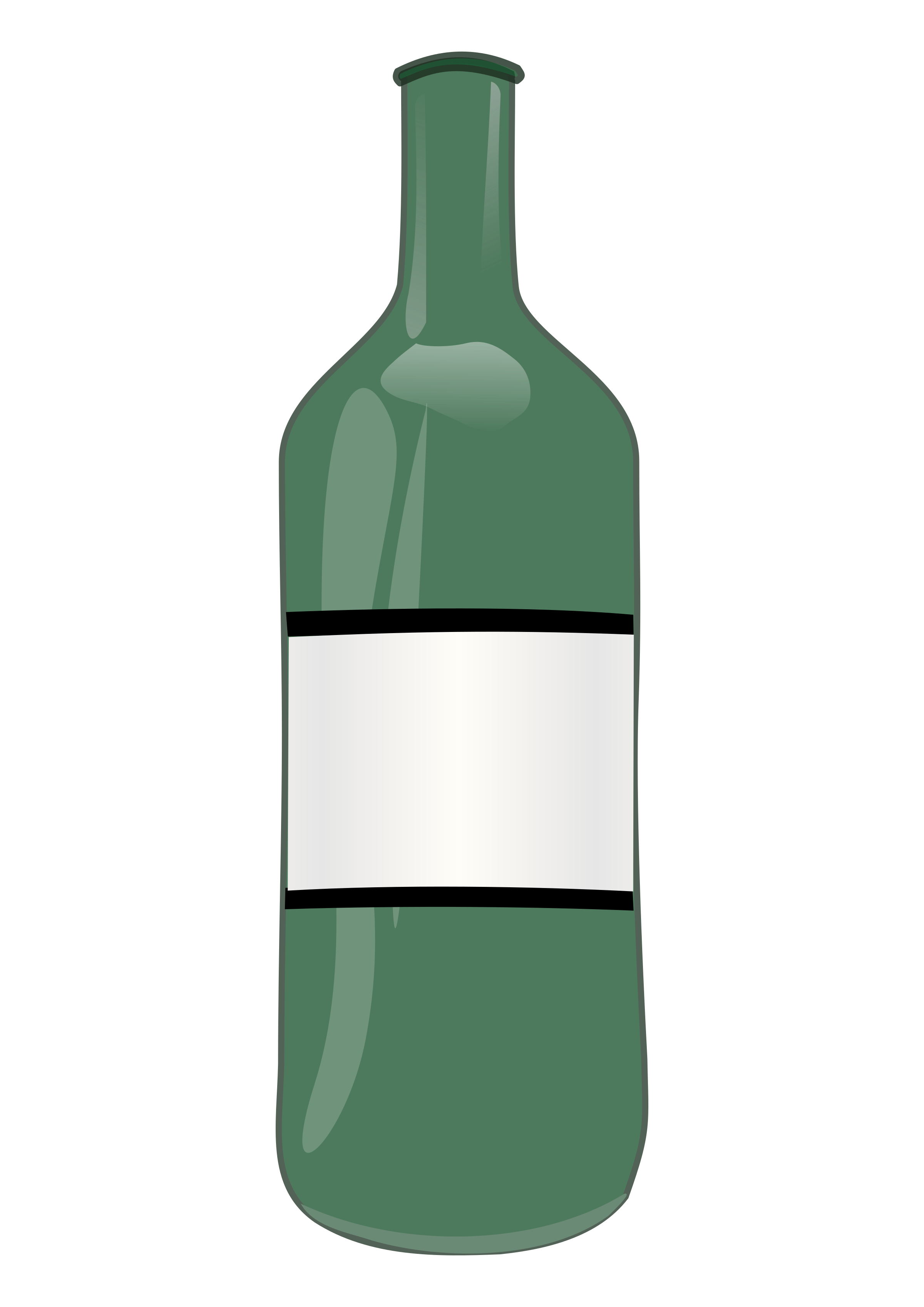 Wine Bottle By Solarisphere