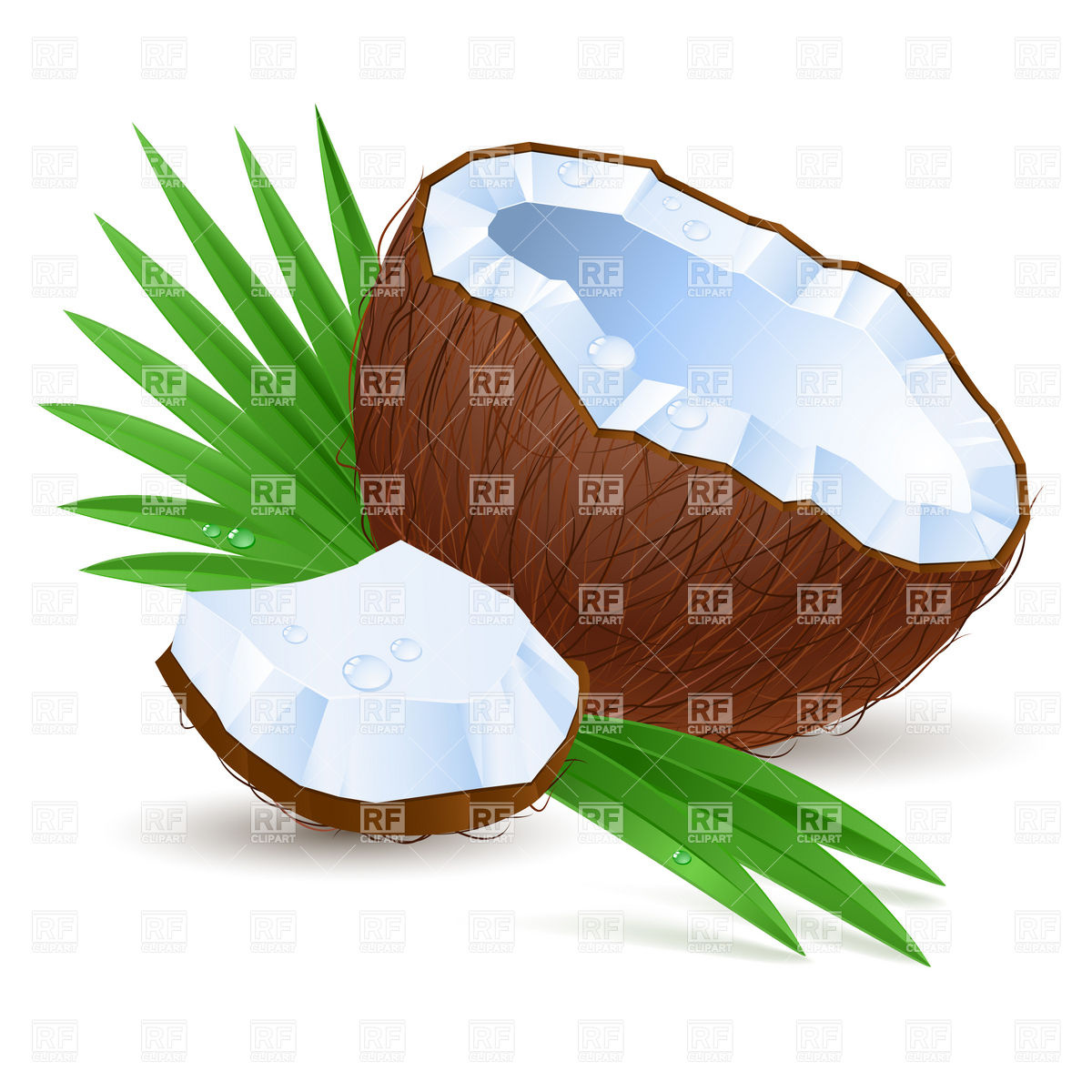 Broken Coconut Half With Milk 7193 Food And Beverages Download