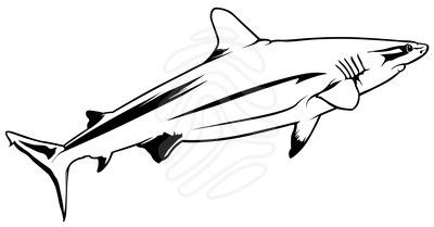 Shark Fin Clipart Black And White Fin Clipart