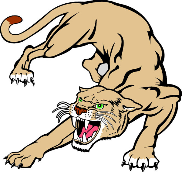 Stalking Cougar Team Mascot Full Color Vinyl Sports Decal  Personalize
