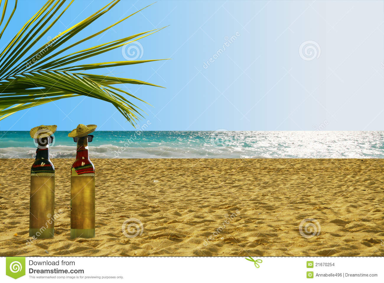 Botellas De Tequila En La Playa Imagenes De Archivo   Imagen  21670254