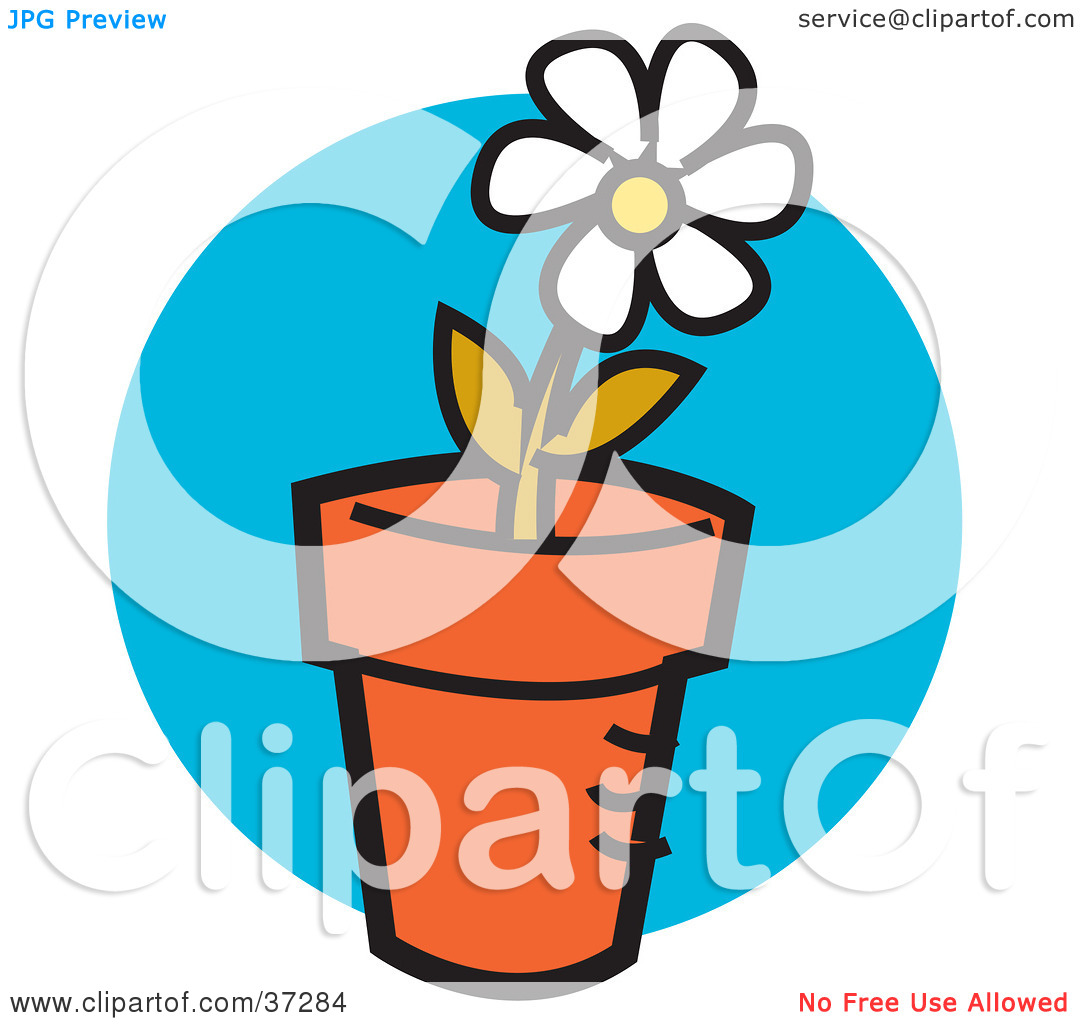 Clipart Illustration Of A Single White Daisy Flower Growing In A Pot