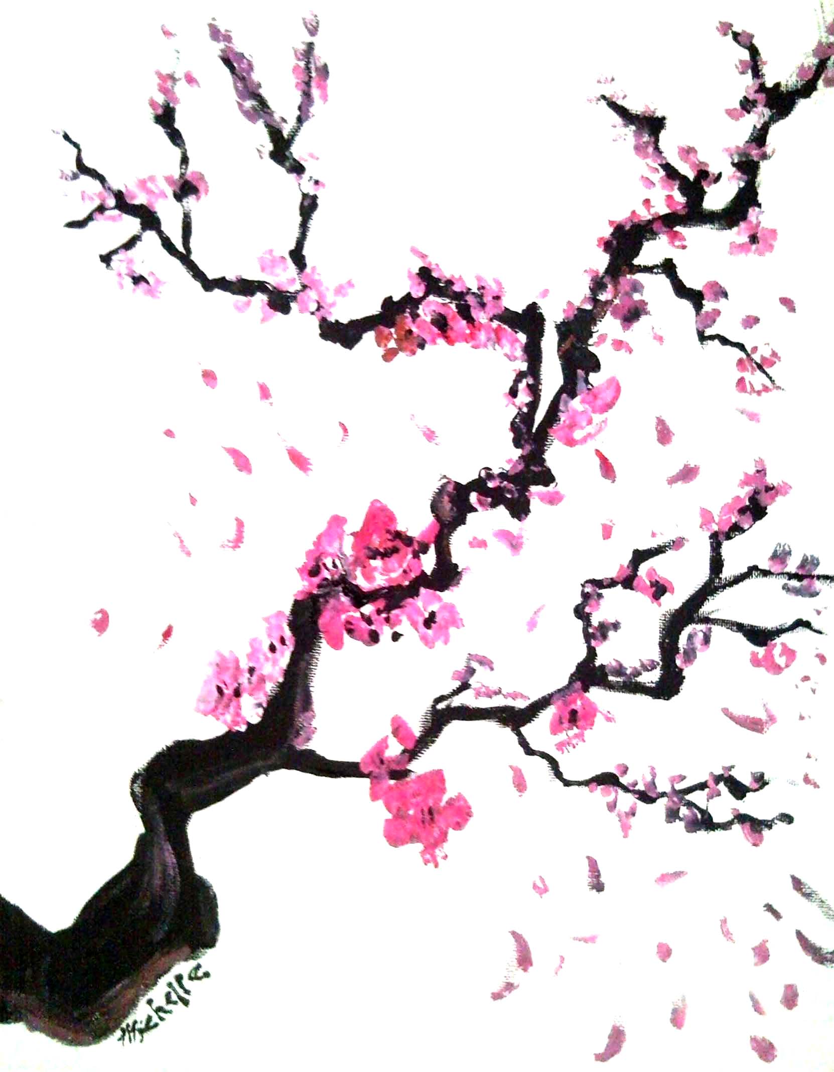 Cherry Blossoms By Karmaela On Deviantart