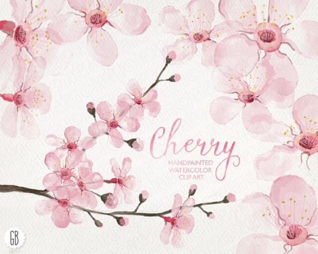Cherry Tree Sakura Hand Painted Spring Flowers Blossoms Clip Art