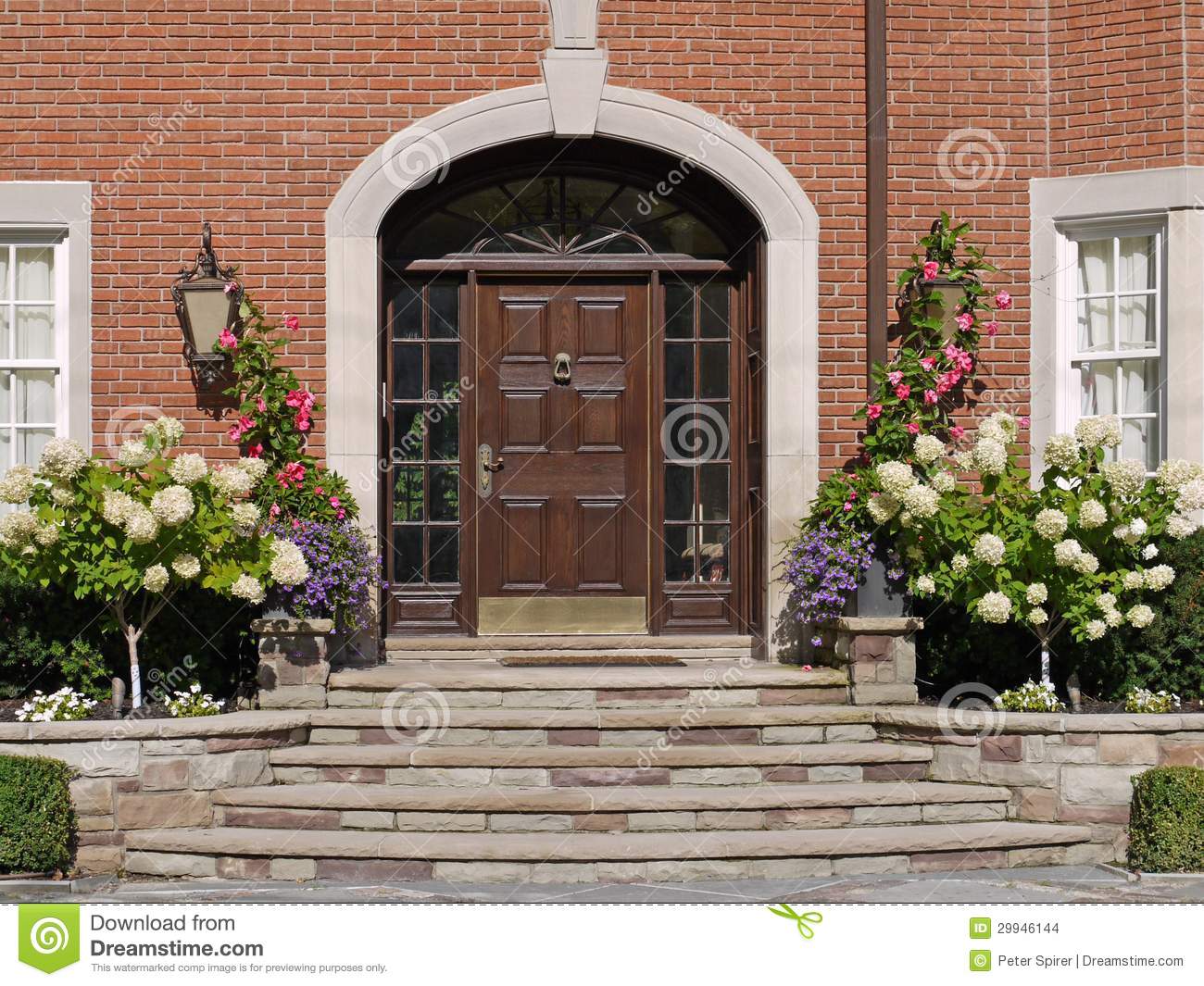 Front Door With Hydrangeas Stock Images   Image  29946144