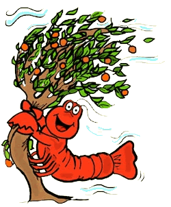 Lobster On Windy Orange Tree   Clipart Best   Clipart Best