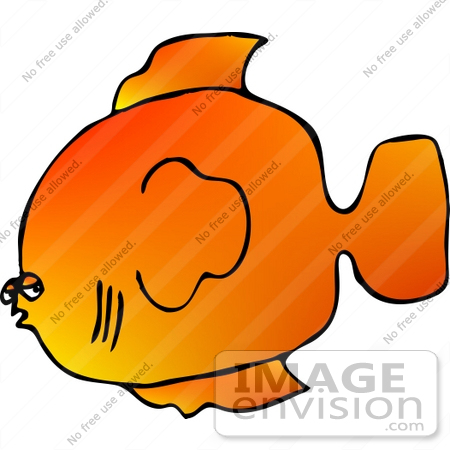 Orange Fish Clipart    12460 By Djart   Royalty Free Stock Cliparts