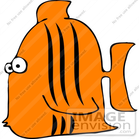 Orange Fish Clipart    12531 By Djart   Royalty Free Stock Cliparts