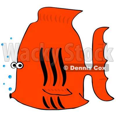 Orange Fish Clipart     Clipart Illustration Of A
