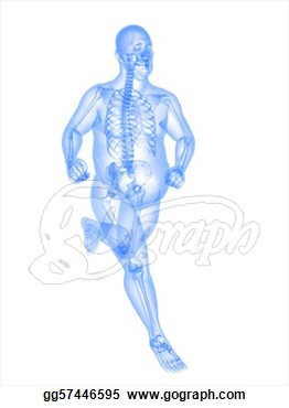 Stock Illustration   Overweight Jogger   Clipart Drawing Gg57446595