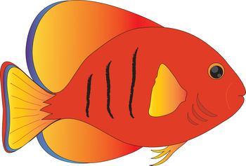 This Is A Free Clipart Picture Of A Orange And Yellow Tropical Fish