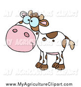     Agriculture Clipart Of A White And Brown Baby Cow Calf By Hit Toon