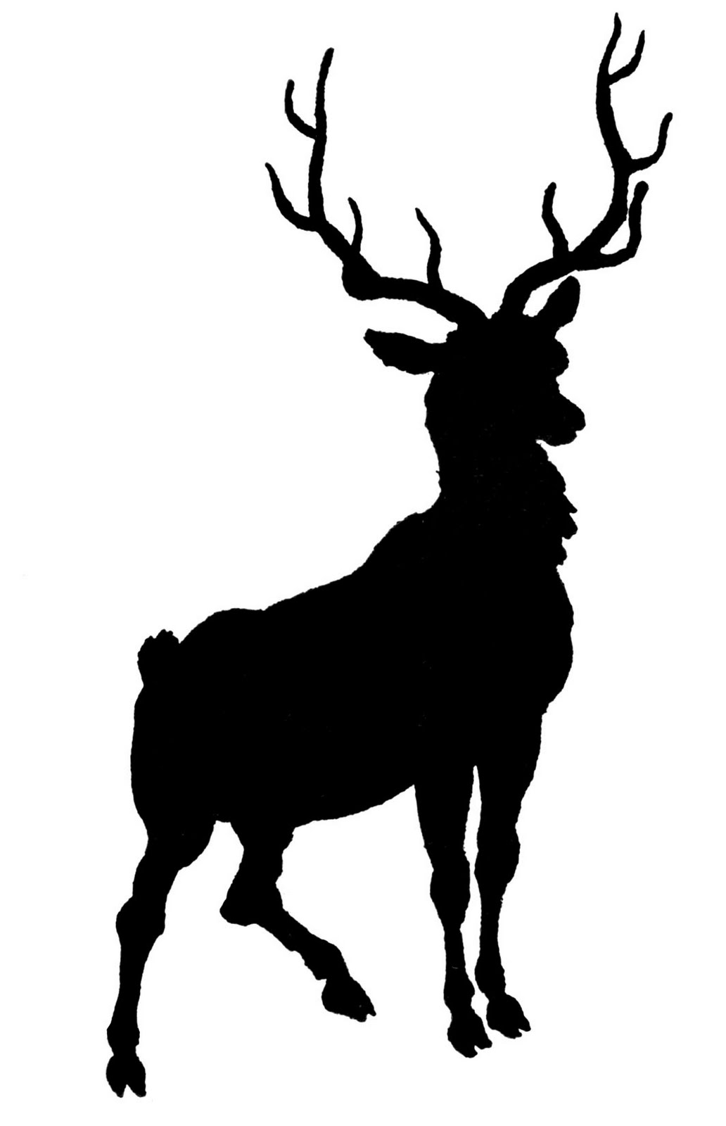Deer Skull Silhouette   Clipart Best