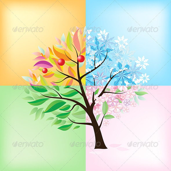 Four Seasons Tree   Seasons Nature