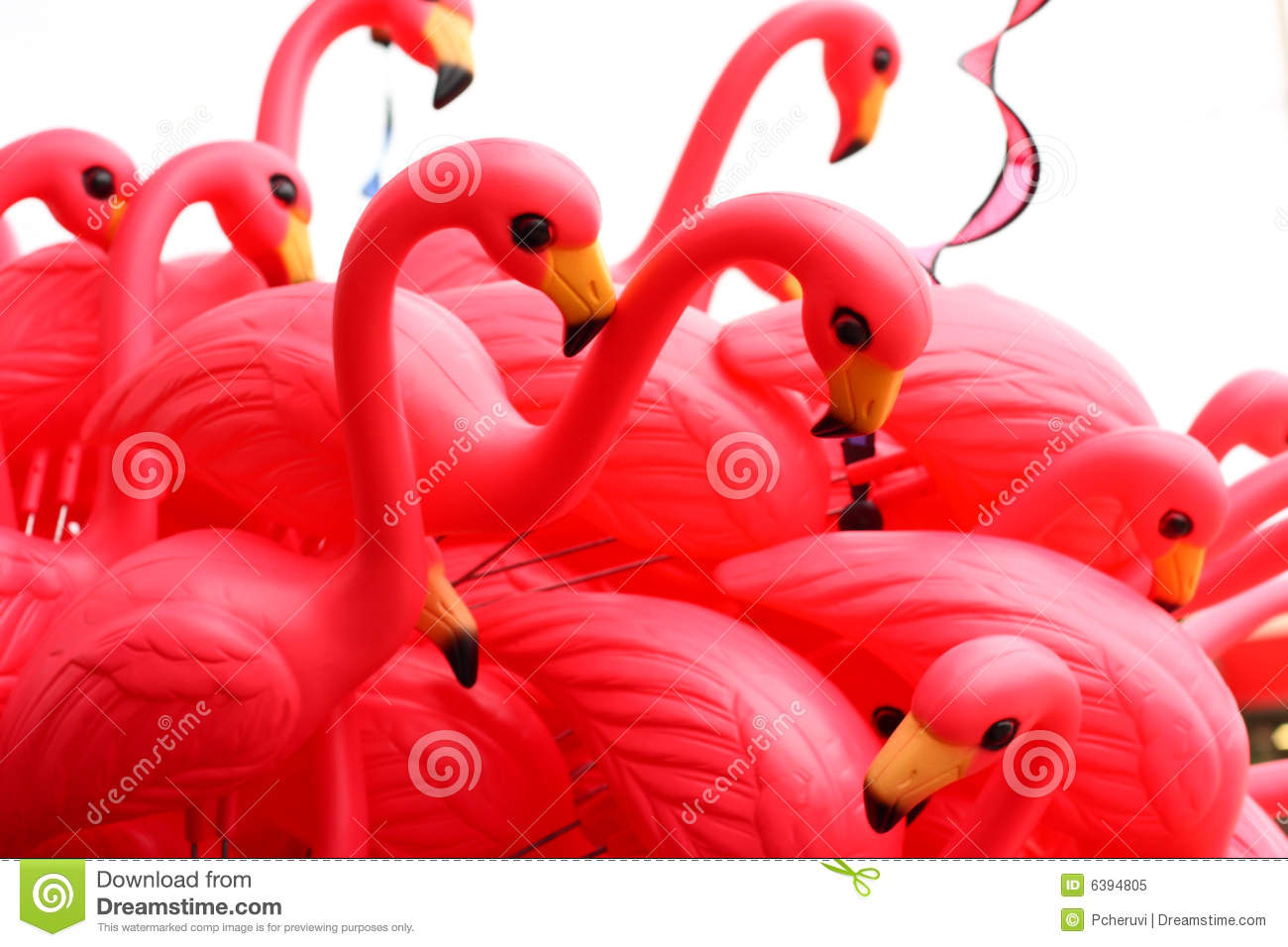 Pink Flamingos Royalty Free Stock Photo   Image  6394805
