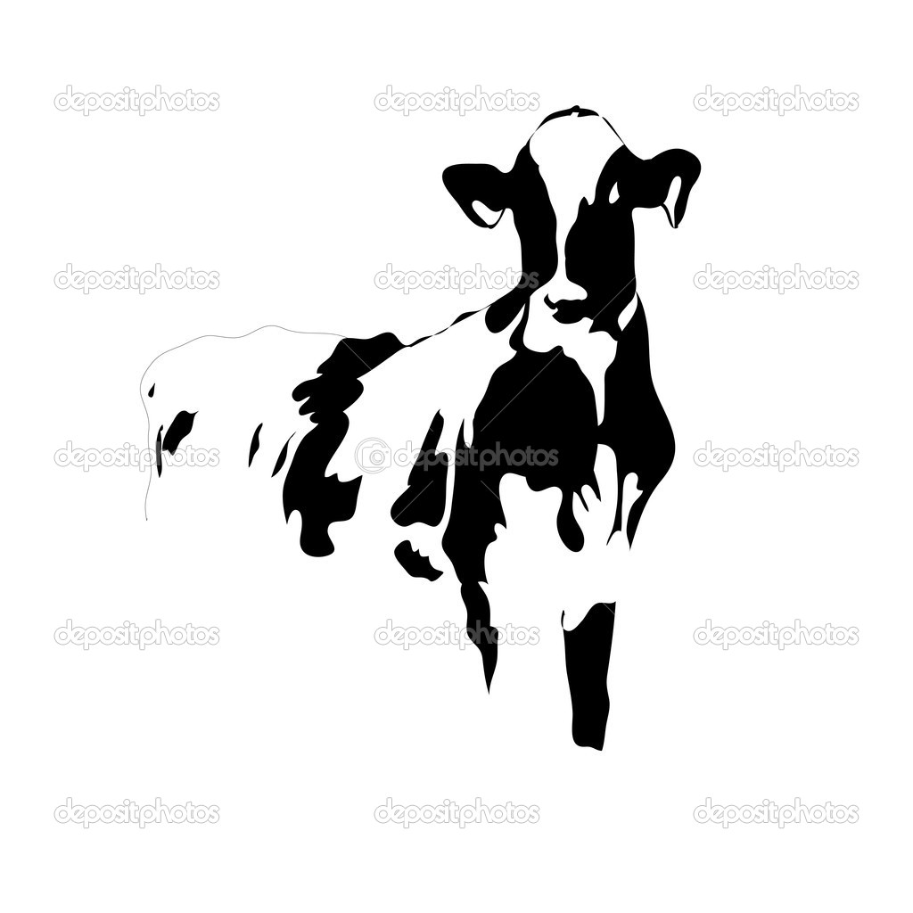 Portrait Big Black And White Cow Vector   Stock Vector   Larisa13