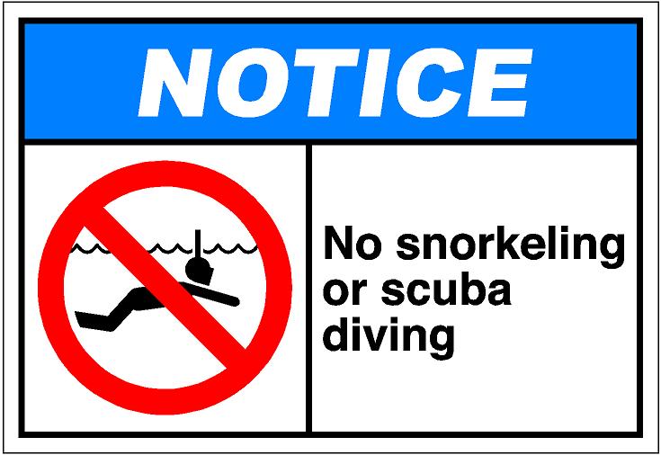 Scuba Fun Diving Pictures For The Diver In You Clipart