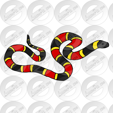 Snake Picture For Classroom   Therapy Use   Great Snake Clipart