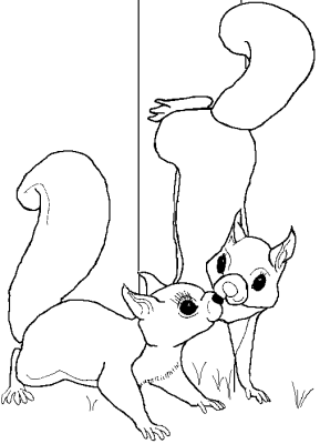      Squirrel Squirrel Coloring Pages Squirrels In Love Two Squirrels