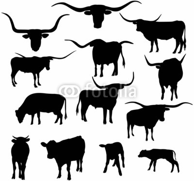 Texas Longhorn Cows Silhouettes Collection Cattle Stock Image And