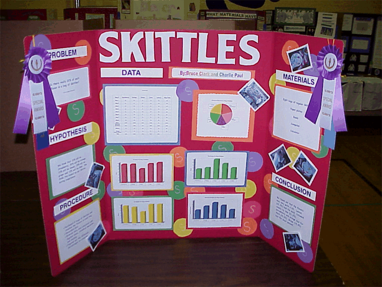 The Following Pictures Are Examples Of Quality Science Fair Projects