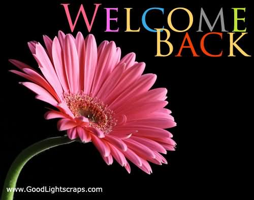 Welcome Back Flower Graphic