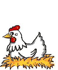 Animated Chicken Graphic Image Animated Chicken Graphic Photo