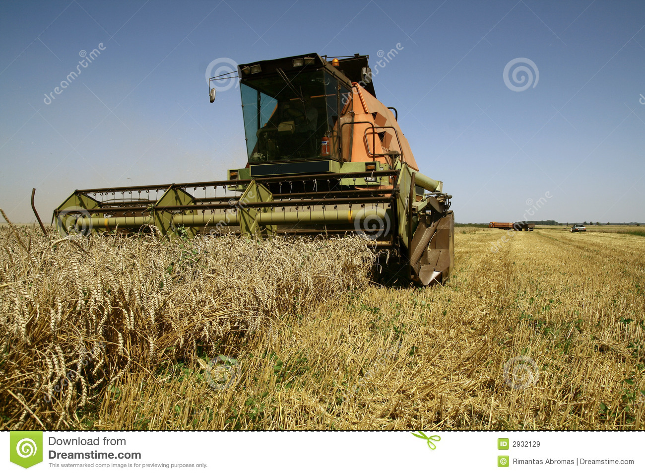 Harvest Time Royalty Free Stock Images   Image  2932129