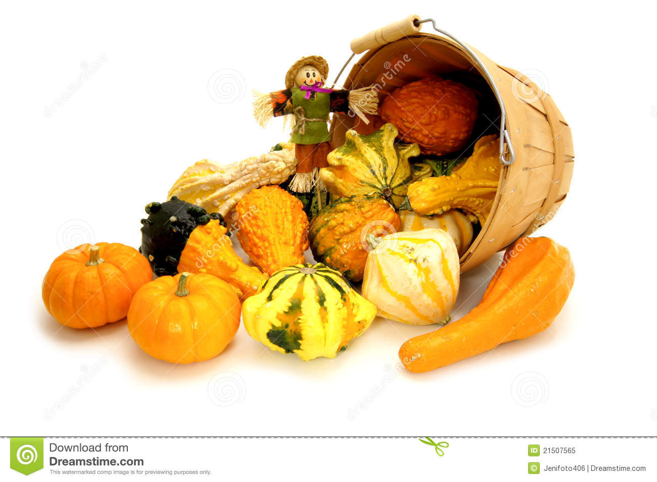 Harvest Time Royalty Free Stock Photo   Image  21507565