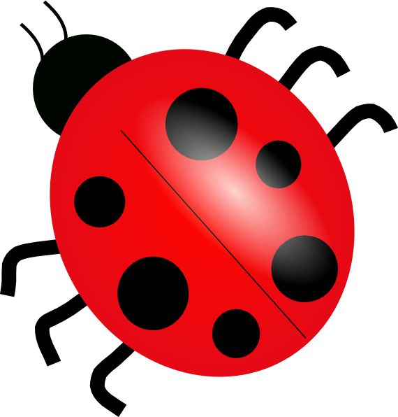 Ladybird Cartoon   Google Search   Clip Art   Pinterest