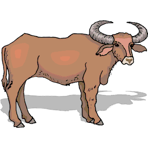 Ox Clipart Cliparts Of Ox Free Download  Wmf Eps Emf Svg Png Gif