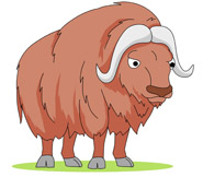 Ox Clipart   Free Clip Art Images