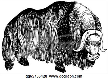 Stock Illustration   Musk Ox  Clip Art Gg65736428