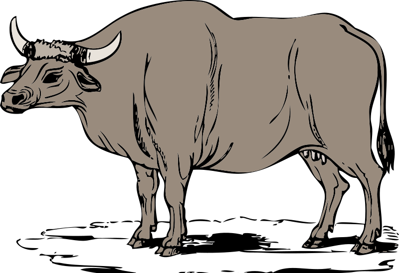This Ox Clip Art For Personal Or Commercial Purposes This Clip Art Is