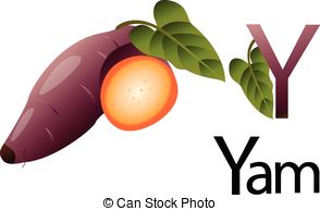 Yam Clipart Vector And Illustration  132 Yam Clip Art Vector Eps