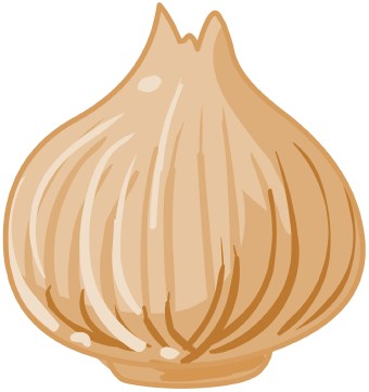 Clip Art Of A Brown Onion
