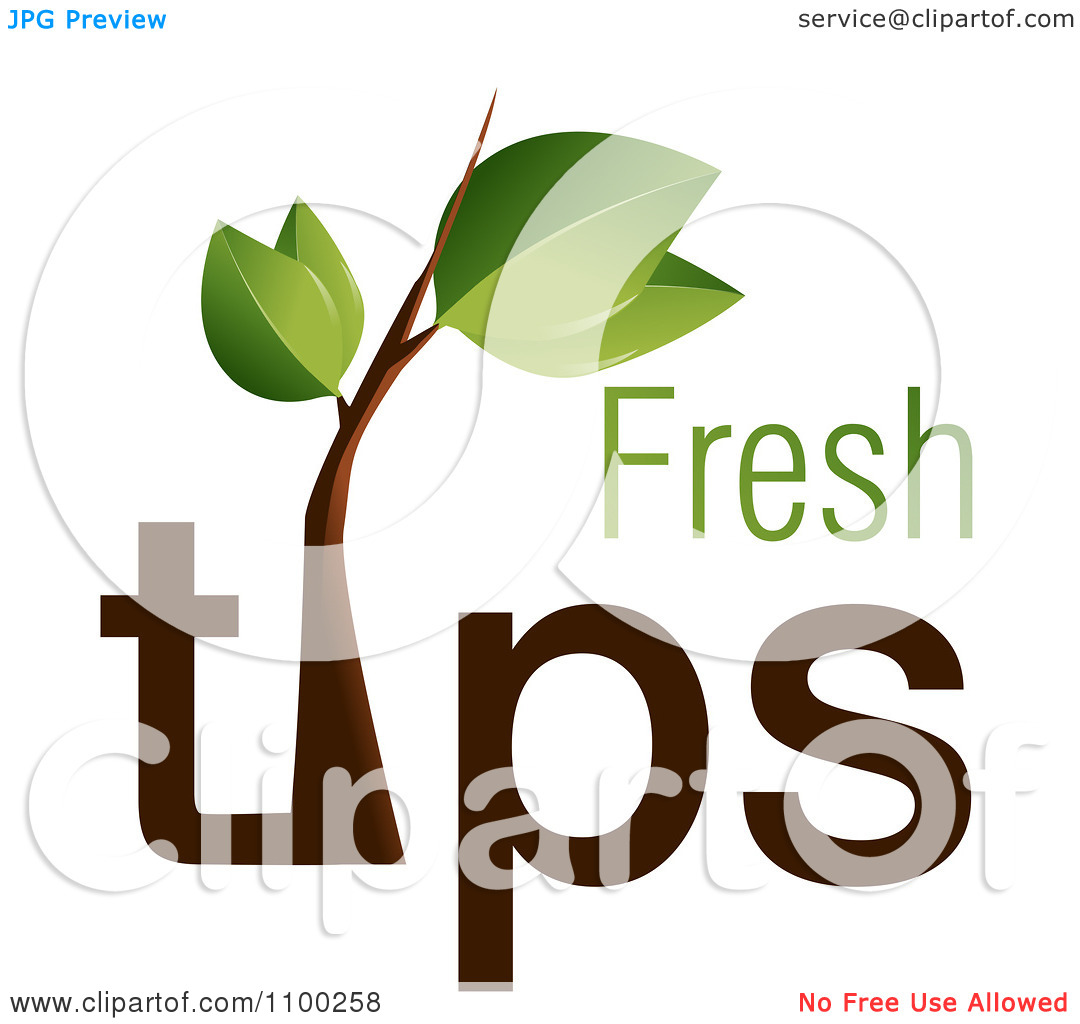 Clipart Tree Branch With Fresh Tips Text   Royalty Free Vector