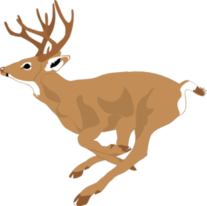 Deer Running Fast Clip Art At Clker Com   Vector Clip Art Online