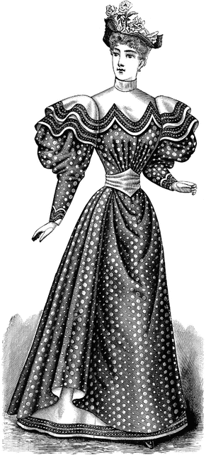 Late 19th Century Visiting Dress   Clipart Etc