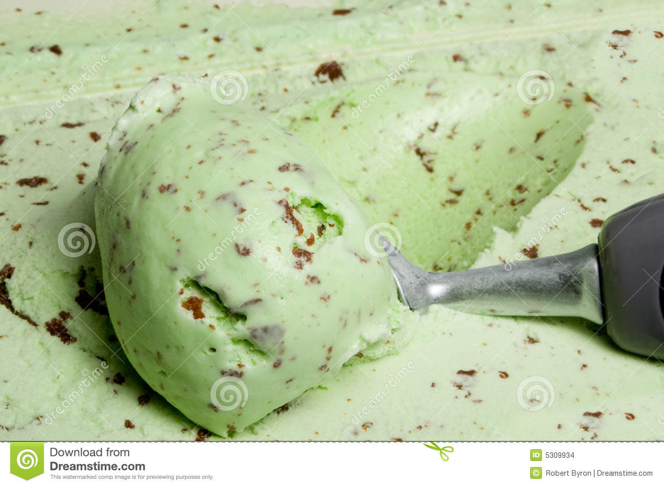 Mint Chocolate Chip Ice Cream Stock Images   Image  5309934