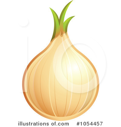 Onion Clipart  1054457 By Ta Images   Royalty Free  Rf  Stock