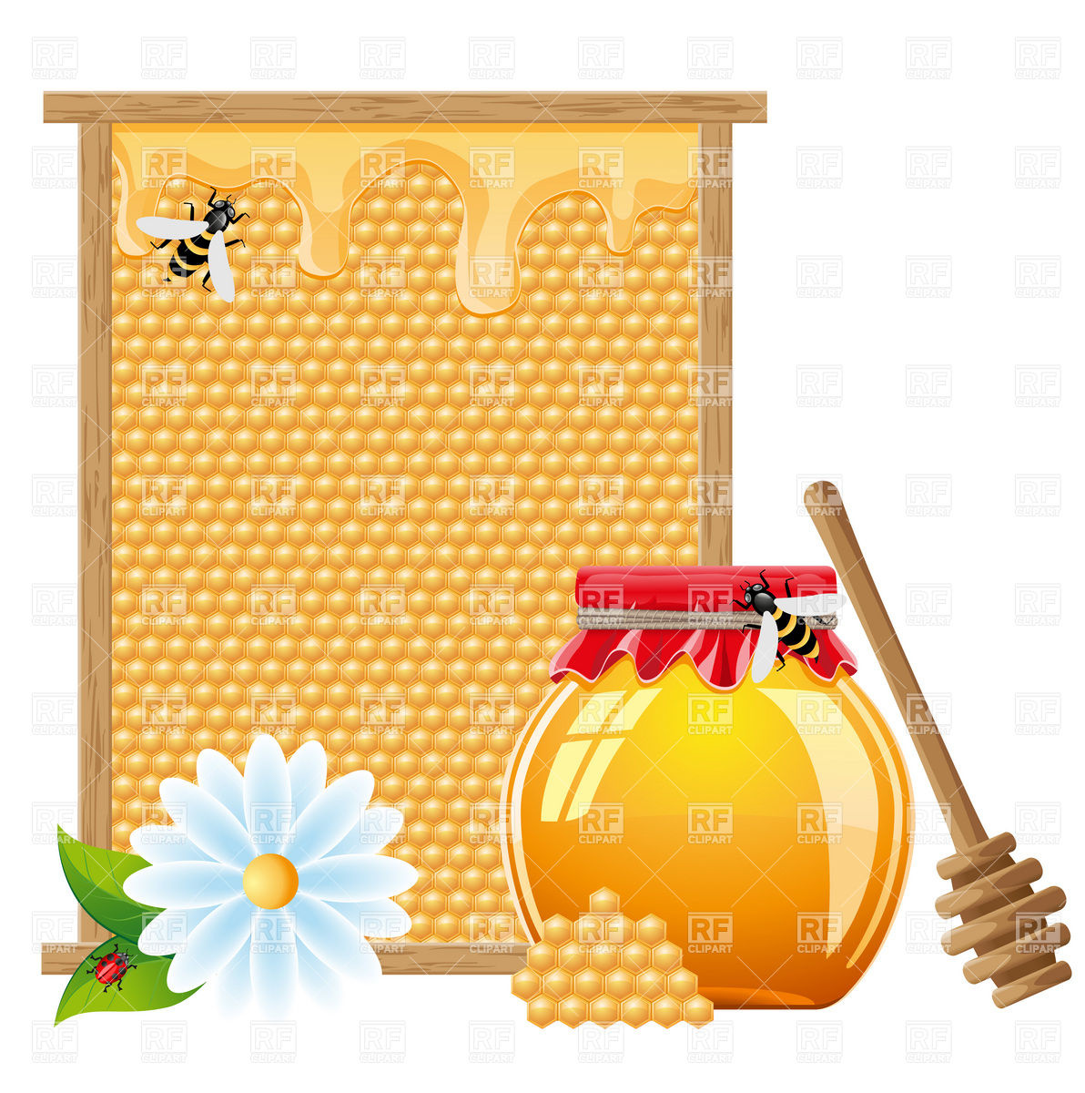     Pot Of Honey And Honeycomb Download Royalty Free Vector Clipart  Eps