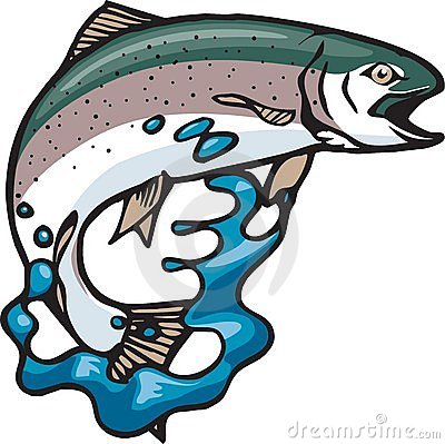 Trout Clipart Jumping Trout 10795580 Jpg