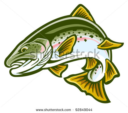 Trout Clipart Rainbow Trout   Stock Vector