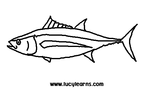 Tuna Print Picture Of Tuna Fish To Color And Free Fish Clipart