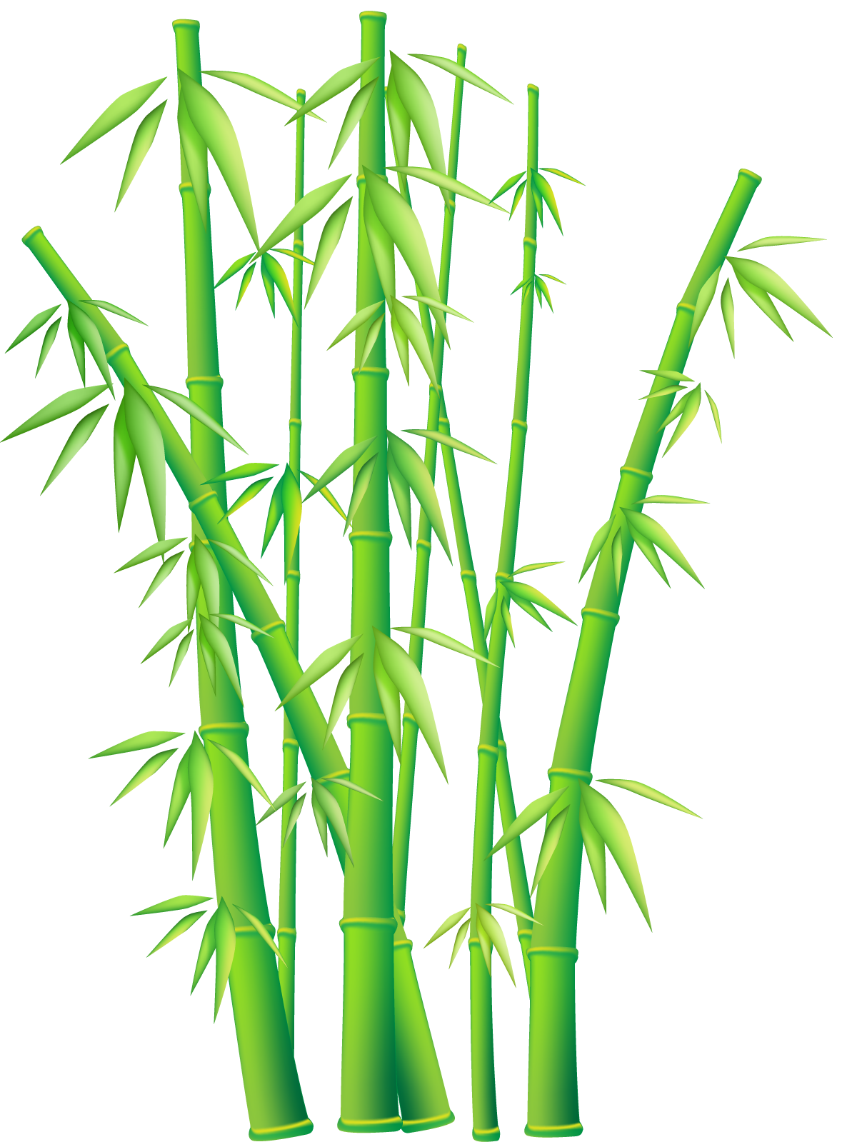 15 Bamboo Tree Png Free Cliparts That You Can Download To You Computer    