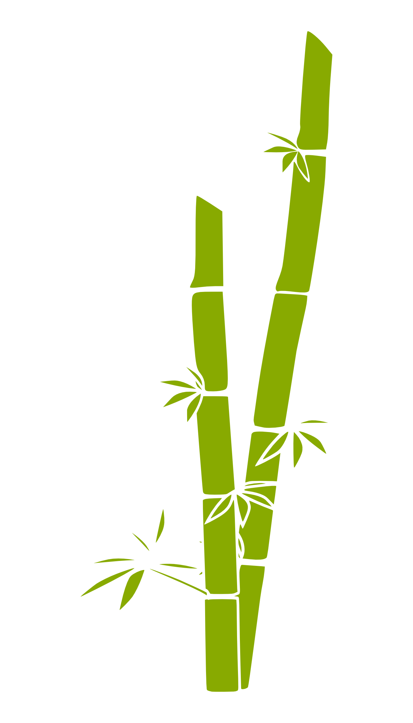 Bamboo Border Free Download   Clipart Best