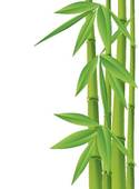Bamboo Clipart Bamboo