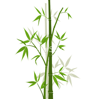 Bamboo Sticks Vector Art   Download Organic Vectors   880826