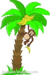   Clipart Of A Surprised Monkey Dropping A Banana From A Tree    